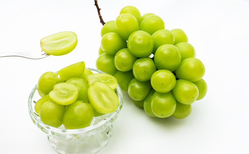 縺カ縺ゥ縺 譴ィ 螳壽悄萓ソ 2026蟷エ 蜈郁。御コ育エ 繝輔Ν繝シ繝邇句嵜 蟯。螻ア繧貞ェ閭ス 螳壽悄萓ソ 3蝗槭さ繝シ繧ケ 闡。關 縺カ縺ゥ縺 譴ィ 縺ェ縺 蟯。螻ア逵檎肇 蝗ス逕」 譫懃黄 繧サ繝繝 繧ョ繝輔ヨ