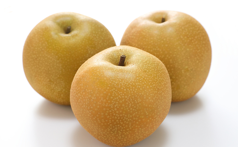 縺カ縺ゥ縺 譴ィ 螳壽悄萓ソ 2026蟷エ 蜈郁。御コ育エ 繝輔Ν繝シ繝邇句嵜 蟯。螻ア繧貞ェ閭ス 螳壽悄萓ソ 3蝗槭さ繝シ繧ケ 闡。關 縺カ縺ゥ縺 譴ィ 縺ェ縺 蟯。螻ア逵檎肇 蝗ス逕」 譫懃黄 繧サ繝繝 繧ョ繝輔ヨ