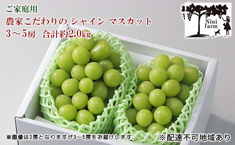 ぶどう 2026年 先行予約 【平均糖度20度】ご家庭用 農家こだわりの シャイン マスカット 3～5房 合計約2.0kg ブドウ 葡萄 岡山県産 国産 フルーツ 果物 【 Nini farm 農家 直送 】