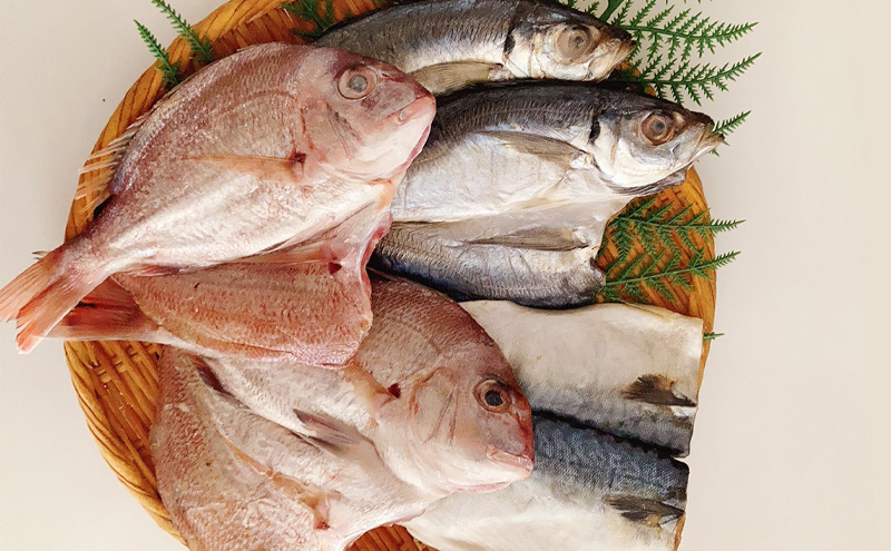 瀬戸内の魚でつくる 干物 6枚入りBOX