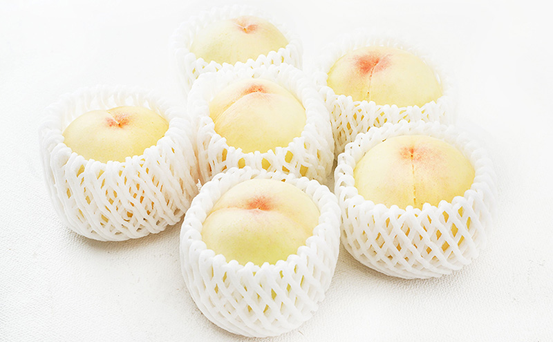 æ¡ 2026幎 å
è¡äºçŽ å²¡å±± ã® çœæ¡ 6çïŒåèš1.6kg以äžïŒåç²§ç®±å
¥ã ãã ã¢ã¢ 岡山çç£ åœç£ ãã«ãŒã æç© ã®ãã ãã¶ãŒã äžåãªçã¿ ãšããã ç£å°çŽé