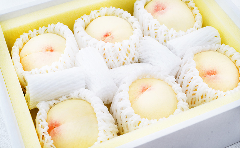 æ¡ 2026幎 å
è¡äºçŽ å²¡å±± ã® çœæ¡ 6çïŒåèš1.6kg以äžïŒåç²§ç®±å
¥ã ãã ã¢ã¢ 岡山çç£ åœç£ ãã«ãŒã æç© ã®ãã ãã¶ãŒã äžåãªçã¿ ãšããã ç£å°çŽé