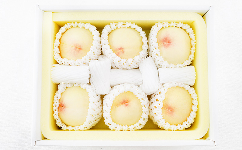 æ¡ 2026幎 å
è¡äºçŽ æž
æ°Ž çœæ¡ 6ç ïŒ1ç300g以äžïŒ ççŽïŒãã€ã€ã« åç²§ç®±å
¥ã ãã ã¢ã¢ 岡山çç£ åœç£ ãã«ãŒã æç© ã®ãã èŽçå ç³åºŠ12.0床以äž