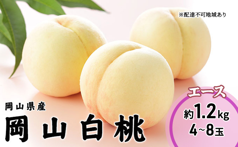 桃 2026年 先行予約 岡山 白桃 エース 4～8玉 1.2kg 岡山県産 JAおかやまのもも モモ 岡山県産 国産 フルーツ 果物 ギフト