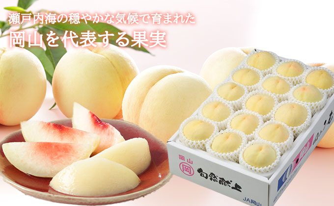 æ¡ 2026幎 å
è¡äºçŽ å²¡å±± çœæ¡ ãã€ã€ã« 8ïœ16ç 4.0kg 岡山çç£ JAããããŸã®ãã ã¢ã¢ 岡山çç£ åœç£ ãã«ãŒã æç© ã®ãã