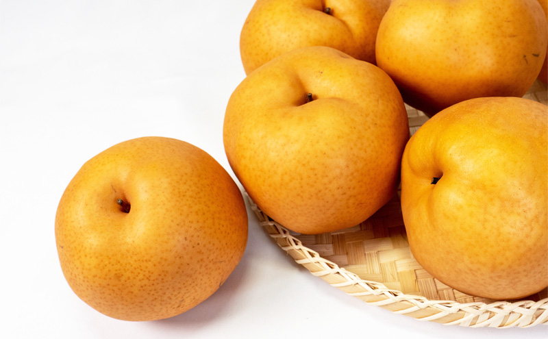 ãã«ãŒã å®æäŸ¿ 2026幎 å
è¡äºçŽ ãã«ãŒãçåœ å²¡å±± ãã¹ãã»ã¬ã¯ã 3åã³ãŒã¹ æ¡ ãã è¡è ã¶ã©ã 梚 ãªã 岡山çç£ åœç£ æç© ã»ãã ã®ãã æããã ãã¹ã«ãã çã é
žå³ é«çŽ éŠã 颚å³