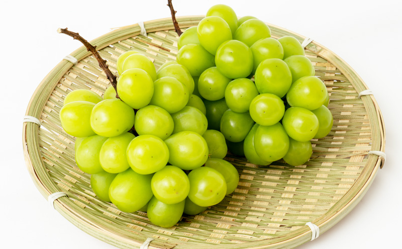 フルーツ 定期便 2026年 先行予約 フルーツ王国 岡山 ベストセレクト 2回コース 桃 もも 葡萄 ぶどう マスカット 岡山県産 国産 果物 セット ギフト 柔らかい 甘い 酸味 高級 香り 風味 