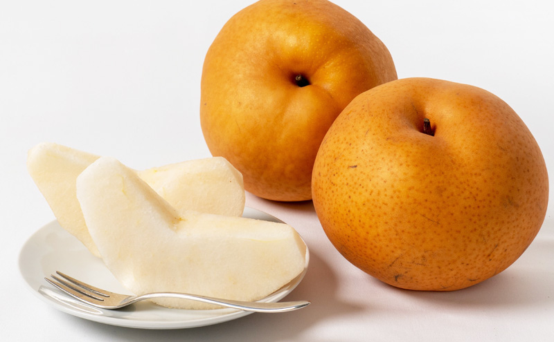 ãã«ãŒã å®æäŸ¿ 2026幎 å
è¡äºçŽ ãã«ãŒãçåœ å²¡å±± ãã¹ãã»ã¬ã¯ã 3åã³ãŒã¹ æ¡ ãã è¡è ã¶ã©ã 梚 ãªã 岡山çç£ åœç£ æç© ã»ãã ã®ãã æããã ãã¹ã«ãã çã é
žå³ é«çŽ éŠã 颚å³