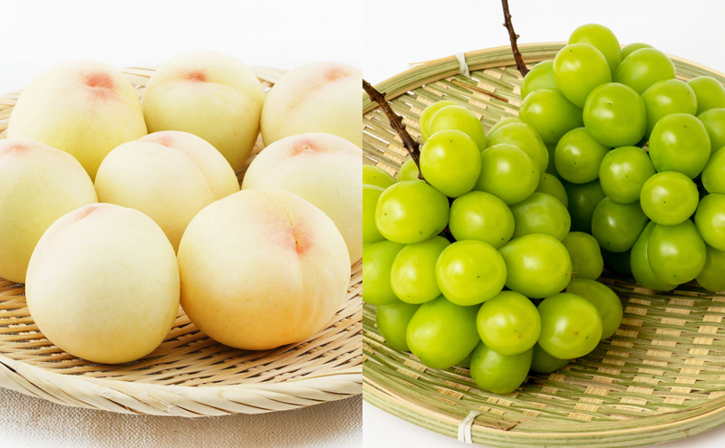 ãã«ãŒã å®æäŸ¿ 2026幎 å
è¡äºçŽ ãã«ãŒãçåœ å²¡å±± ãã¹ãã»ã¬ã¯ã 3åã³ãŒã¹ æ¡ ãã è¡è ã¶ã©ã 梚 ãªã 岡山çç£ åœç£ æç© ã»ãã ã®ãã æããã ãã¹ã«ãã çã é
žå³ é«çŽ éŠã 颚å³