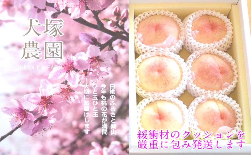 ãã 2026幎 å
è¡äºçŽ å²¡å±±å ã®çœæ¡ çŽ1.5kg 5ïœ6ç ç¬å¡èŸ²å 岡山çç£ æ¡ ã¢ã¢ ã®ãã åå€ ã¿ãã¿ããã