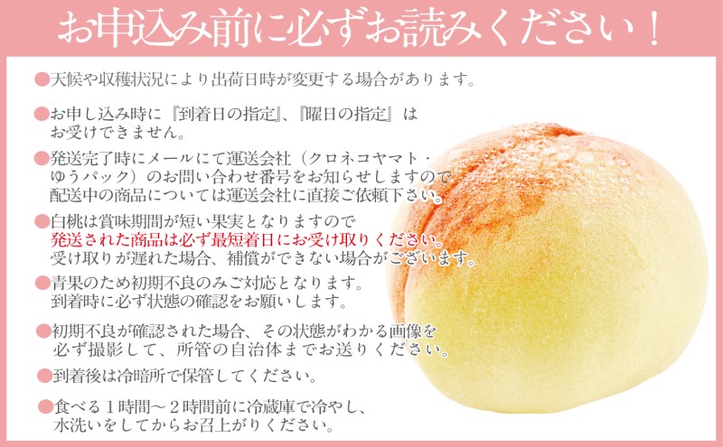 ãã 2026幎 å
è¡äºçŽ å²¡å±±å ã®çœæ¡ çŽ2.4kg 7ïœ9ç ç¬å¡èŸ²å 岡山çç£ æ¡ ã¢ã¢ ã®ãã åå€ ã¿ãã¿ããã