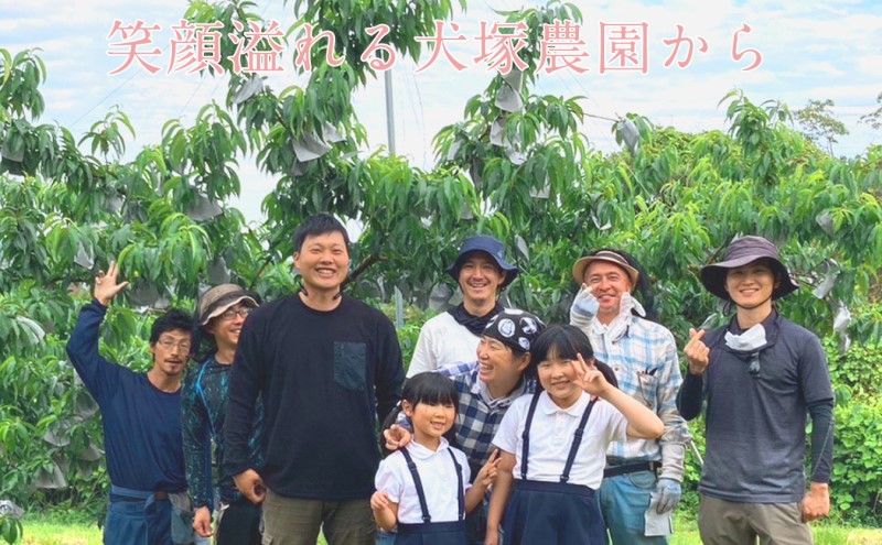 ãã 2026幎 å
è¡äºçŽ å²¡å±±å ã®çœæ¡ çŽ2.4kg 7ïœ9ç ç¬å¡èŸ²å 岡山çç£ æ¡ ã¢ã¢ ã®ãã åå€ ã¿ãã¿ããã