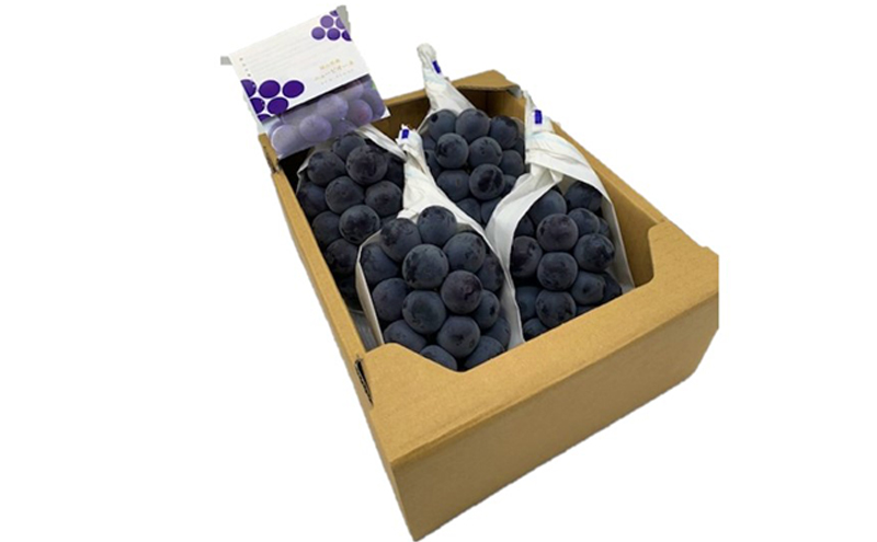 ã¶ã©ã 2026幎 å
è¡äºçŽ ãã¥ãŒããªãŒã4æ¿(1æ¿480g以äž) ãã㊠è¡è 岡山çç£ åœç£ ãã«ãŒã æç© ã®ãã