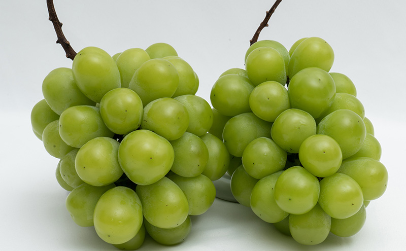 ã¶ã©ã 2026幎 å
è¡äºçŽ ã·ã£ã€ã³ ãã¹ã«ãã æŽç 2æ¿ ïŒåèšçŽ1.1kgïŒ åç²§ç®±å
¥ã ãã¹ã«ãã ãã㊠è¡è 岡山çç£ åœç£ ãã«ãŒã æç© ã®ãã