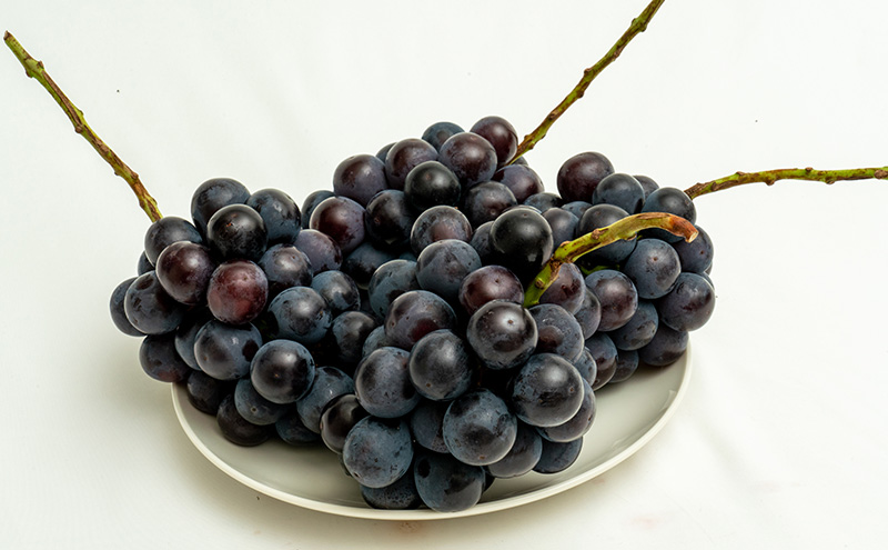 ぶどう 2026年 先行予約 ニュー ピオーネ 4房（合計約2kg） ブドウ 葡萄  岡山県産 国産 フルーツ 果物 ギフト  