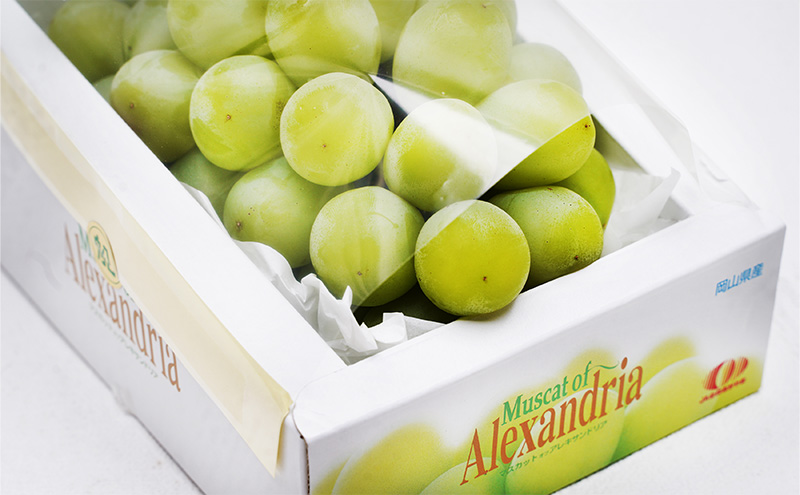 ã¶ã©ã 2026幎 å
è¡äºçŽ ãã¹ã«ããã»ãªãã»ã¢ã¬ããµã³ããªã¢ ç¹ç§å 1æ¿ïŒ1æ¿700g以äžïŒåç²§ç®±å
¥ã è¡è 岡山çç£ åœç£ ãã«ãŒã æç© ã®ãã æå® äžå é«çŽ