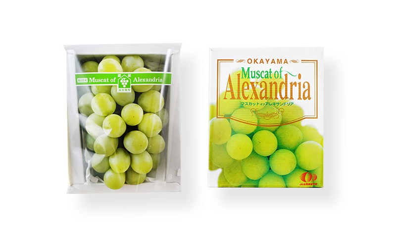 ã¶ã©ã 2026幎 å
è¡äºçŽ ãã¹ã«ããã»ãªãã»ã¢ã¬ããµã³ããªã¢ ç¹ç§å 1æ¿ïŒ1æ¿700g以äžïŒåç²§ç®±å
¥ã è¡è 岡山çç£ åœç£ ãã«ãŒã æç© ã®ãã æå® äžå é«çŽ