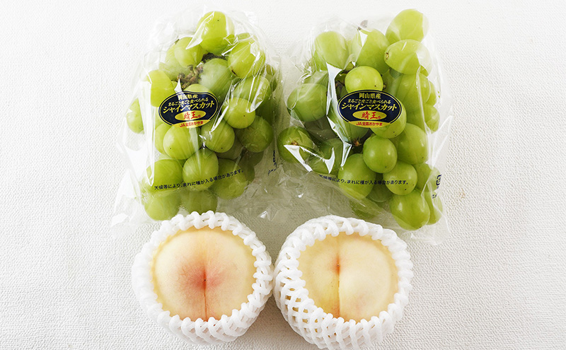 æ¡ ã¶ã©ã 2026幎 å
è¡äºçŽ æç©è©°åã çœæ¡ 2ç (1ç200g以äž) ã·ã£ã€ã³ ãã¹ã«ãã æŽç 2æ¿ (åèšçŽ940g) åç²§ç®±å
¥ã 岡山çç£ åœç£ ãã«ãŒã æç© ã®ãã