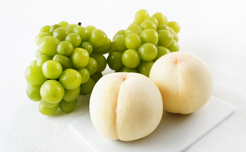 フルーツ 2026年 先行予約 晴れの国 岡山 の フルーツ 定期便 2回コース 桃 ぶどう 岡山県産 国産 フルーツ 果物 ギフト マスカット もも モモ お楽しみ 高級ぶどう 