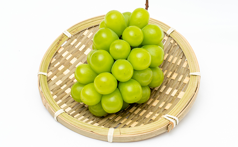 ぶどう 2026年 先行予約 晴れの国 岡山の シャイン マスカット 晴王 定期便 2回（各1房600g以上） 葡萄  岡山県産 国産 フルーツ 果物 ギフト 