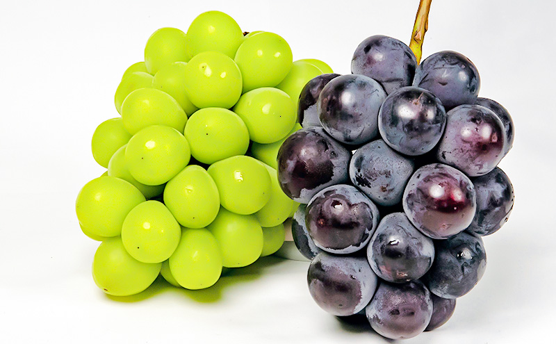 ã¶ã©ã 2026幎 å
è¡äºçŽ æç© è©°åã ãã¥ãŒ ããªãŒã 1æ¿480gä»¥äž ã·ã£ã€ã³ ãã¹ã«ãã æŽç 1æ¿ 480gä»¥äž åç²§ç®±å
¥ã 岡山çç£ åœç£ ãã«ãŒã æç© ã®ãã èŽçå ãã«ãŒãè©°ãåãã é£ã¹æ¯ã¹