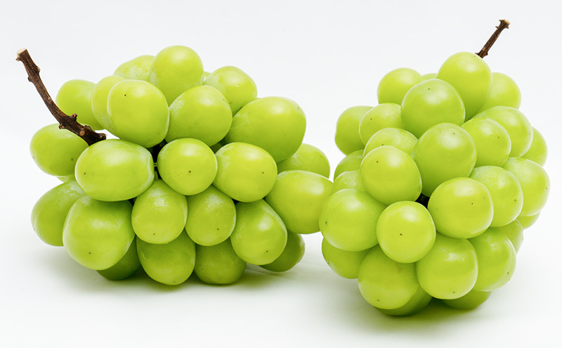 ぶどう 2026年 先行予約 シャイン マスカット 晴王 2房 （1房 600g以上） 化粧箱入り マスカット ブドウ 葡萄  岡山県産 国産 フルーツ 果物 ギフト 高級ぶどう 大粒 種なし 贈答品 