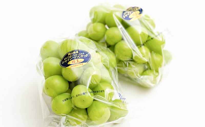 ぶどう 2026年 先行予約 シャイン マスカット 晴王 2房 （1房 600g以上） 化粧箱入り マスカット ブドウ 葡萄  岡山県産 国産 フルーツ 果物 ギフト 高級ぶどう 大粒 種なし 贈答品 