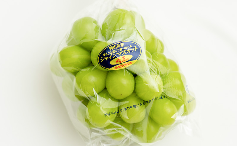 ぶどう 2026年 先行予約 シャイン マスカット 晴王 1房 700g以上 化粧箱入り マスカット ブドウ 葡萄  岡山県産 国産 フルーツ 果物 ギフト 高級ぶどう 大粒 種なし 贈答品 