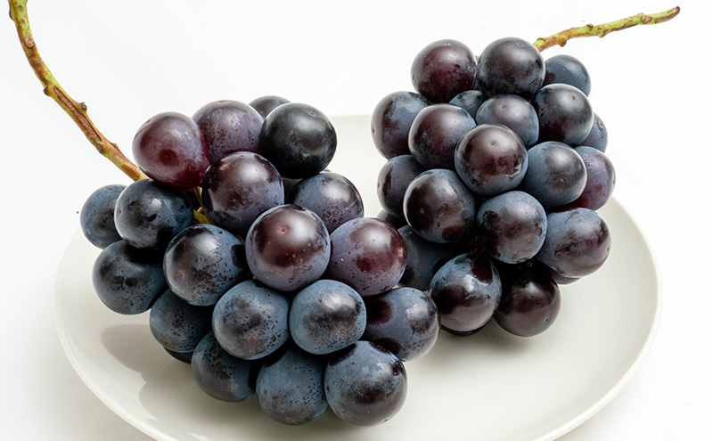 ã¶ã©ã 2026幎 å
è¡äºçŽ ãã¥ãŒ ããªãŒã 2æ¿ïŒ1æ¿480g以äžïŒçŽ1kg åç²§ç®±å
¥ã ãã㊠è¡è 岡山çç£ åœç£ ãã«ãŒã æç© ã®ãã çã¿ã匷ã é
žå³ ç®é¢ãããã å€§ç² é£ã¹å¿ã