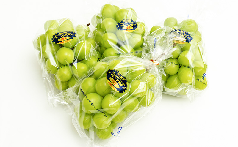 ã¶ã©ã 2026幎 å
è¡äºçŽ ã·ã£ã€ã³ ãã¹ã«ãã æŽç 4æ¿ïŒ1æ¿480g以äžïŒçŽ2kg ãã¹ã«ãã 岡山çç£ åœç£ ãã«ãŒã æç© ã®ãã äžåãªéŠã é«çŽã¶ã©ã é«çŽã·ã£ã€ã³ãã¹ã«ãã å€§ç² çš®ãªã ç®ããš