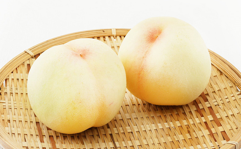 桃 ぶどう 2026年 先行予約 果物 詰合せ 白桃 2玉（1玉220g以上）シャインマスカット 晴王 2房（1房480g以上）化粧箱入り 岡山県産 国産 フルーツ ギフト フルーツ詰め合わせ 贈答品 セット 