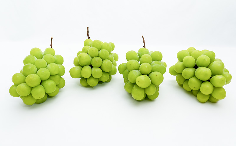 ã¶ã©ã 2026幎 å
è¡äºçŽ ã·ã£ã€ã³ ãã¹ã«ãã æŽç 4æ¿ïŒ1æ¿480g以äžïŒçŽ2kg ãã¹ã«ãã 岡山çç£ åœç£ ãã«ãŒã æç© ã®ãã äžåãªéŠã é«çŽã¶ã©ã é«çŽã·ã£ã€ã³ãã¹ã«ãã å€§ç² çš®ãªã ç®ããš