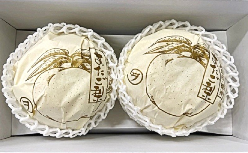 譴ィ 2026蟷エ 蜈郁。御コ育エ 縺ゅ◆縺疲「ィ 2邇 髱堤ァ莉・荳 (邏1.4kg) 蛹也イァ邂ア蜈・繧