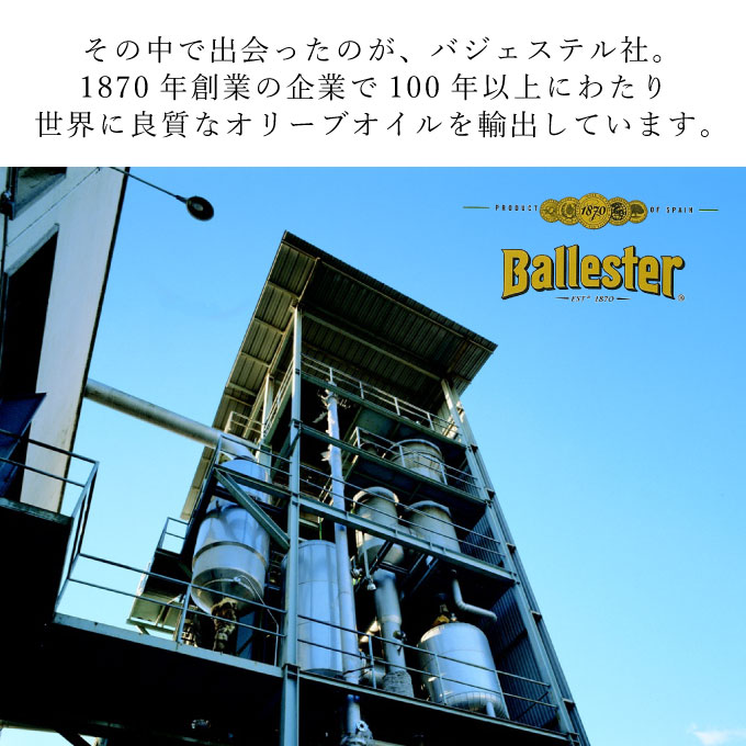 定期便 6ヶ月 エキストラバージン オリーブオイル 大容量 5L ふるさと納税限定品 