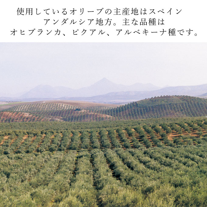 定期便 6ヶ月 エキストラバージン オリーブオイル 大容量 5L ふるさと納税限定品 