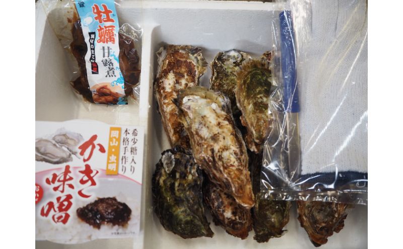 牡蠣 2026年 先行予約 牡蠣づくし セット （ 殻付牡蠣 15個・ 甘露煮 ・ かき味噌 ） 山銀商店 瀬戸内海虫明湾産 魚介類 カキ シーフード 