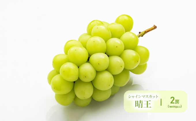 ぶどう 梨 定期便 2026年 先行予約 晴れの国 岡山 の フルーツ 定期便 4回コース 葡萄 なし 岡山県産 国産 セット ギフト