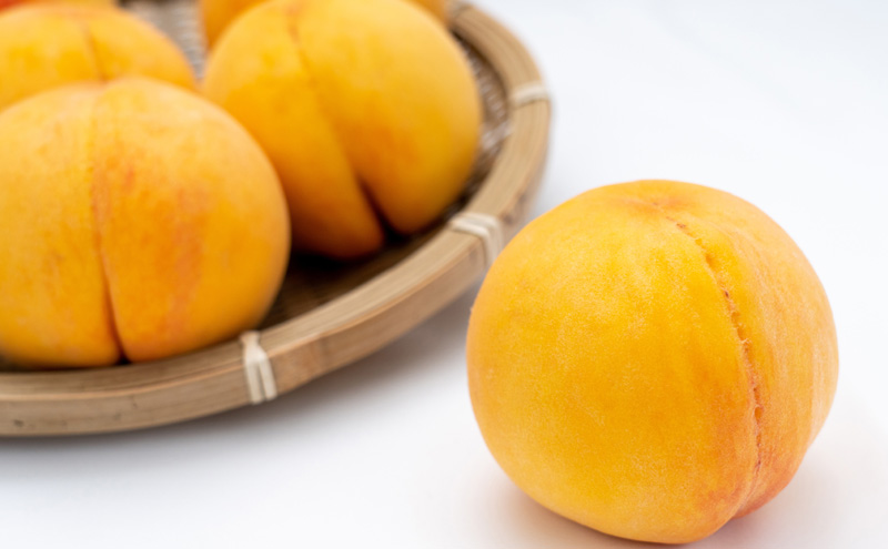 æ¡ å®æäŸ¿ 2026幎 å
è¡äºçŽ æŽãã®åœ 岡山 ã® ãã«ãŒã å®æäŸ¿ 2åã³ãŒã¹ æ¡é£ã¹æ¯ã¹ 岡山çç£ åœç£ ã»ãã ã®ãã