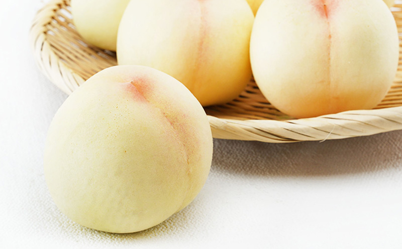 æ¡ å®æäŸ¿ 2026幎 å
è¡äºçŽ æŽãã®åœ 岡山 ã® ãã«ãŒã å®æäŸ¿ 2åã³ãŒã¹ æ¡é£ã¹æ¯ã¹ 岡山çç£ åœç£ ã»ãã ã®ãã