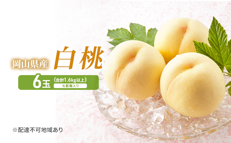 桃 2026年 先行予約 岡山白桃 6玉 (1.6kg以上) 化粧箱入り もも モモ 岡山県産 国産 フルーツ 果物 セット ギフト