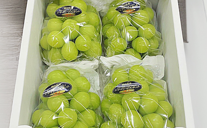 ぶどう 2026年 先行予約 シャインマスカット 晴王 4房 (1房480g以上) ブドウ 葡萄 岡山県産 国産 フルーツ 果物 ギフト