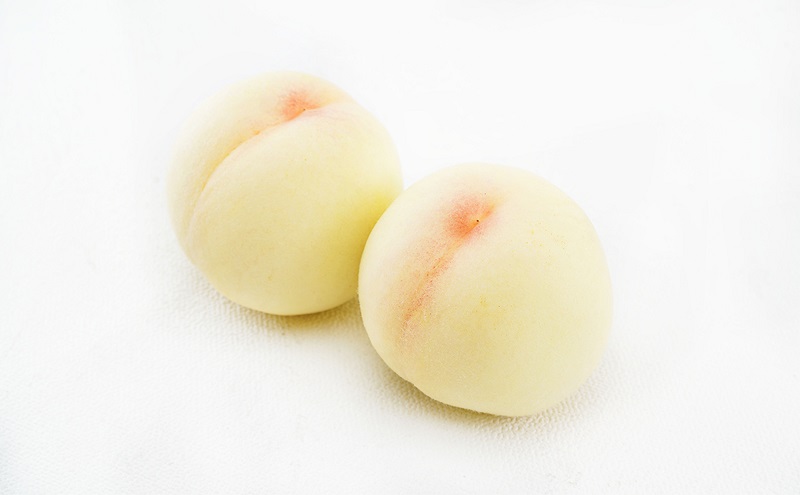 もも ぶどう 2026年 先行予約 詰合/白桃 2玉(1玉220g以上)・シャインマスカット 晴王  2房(1房480g以上) 化粧箱入り 岡山県産 国産 フルーツ 果物 ギフト