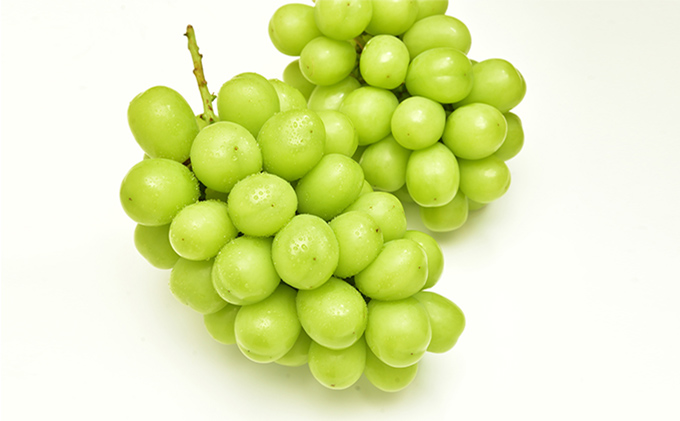 もも ぶどう 2026年 先行予約 詰合/白桃 2玉(1玉220g以上)・シャインマスカット 晴王  2房(1房480g以上) 化粧箱入り 岡山県産 国産 フルーツ 果物 ギフト