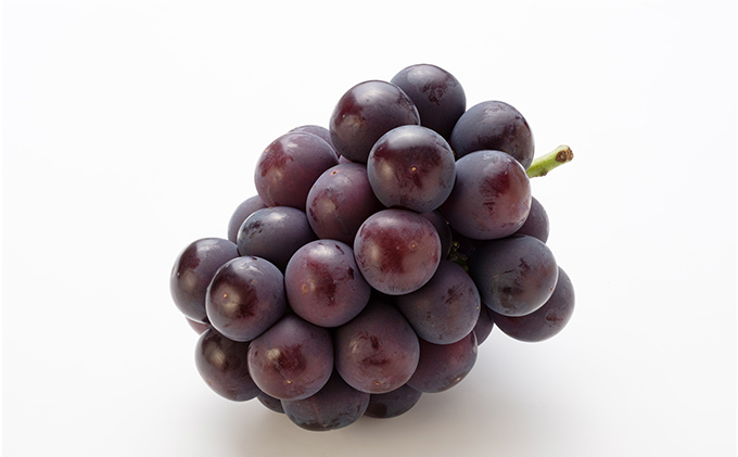 ãã ã¶ã©ã 2026幎 å
è¡äºçŽ è©°å/çœæ¡ 2ç(1ç220g以äž)ã»ãã¥ãŒããªãŒã1æ¿(480g以äž)ã»ã·ã£ã€ã³ãã¹ã«ãã æŽç 1æ¿(480g以äž) åç²§ç®±å
¥ã 岡山çç£ åœç£ ãã«ãŒã æç© ã®ãã