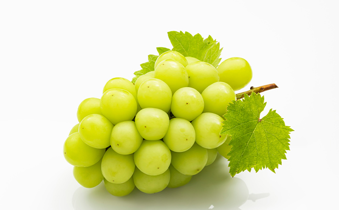 ãã ã¶ã©ã 2026幎 å
è¡äºçŽ è©°å/çœæ¡ 2ç(1ç220g以äž)ã»ãã¥ãŒããªãŒã1æ¿(480g以äž)ã»ã·ã£ã€ã³ãã¹ã«ãã æŽç 1æ¿(480g以äž) åç²§ç®±å
¥ã 岡山çç£ åœç£ ãã«ãŒã æç© ã®ãã