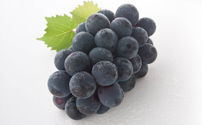 ã¶ã©ã 2026幎 å
è¡äºçŽ è©°å/ãã¥ãŒããªãŒã 1æ¿(480g以äž)ã»ã·ã£ã€ã³ãã¹ã«ãã æŽç 1æ¿(480g以äž) åç²§ç®±å
¥ã ãã㊠è¡è 岡山çç£ åœç£ ãã«ãŒã æç© ã®ãã