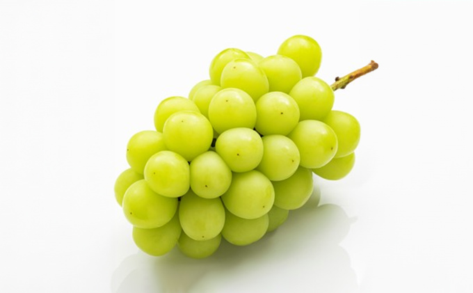 ã¶ã©ã 2026幎 å
è¡äºçŽ è©°å/ãã¥ãŒããªãŒã 1æ¿(480g以äž)ã»ã·ã£ã€ã³ãã¹ã«ãã æŽç 1æ¿(480g以äž) åç²§ç®±å
¥ã ãã㊠è¡è 岡山çç£ åœç£ ãã«ãŒã æç© ã®ãã