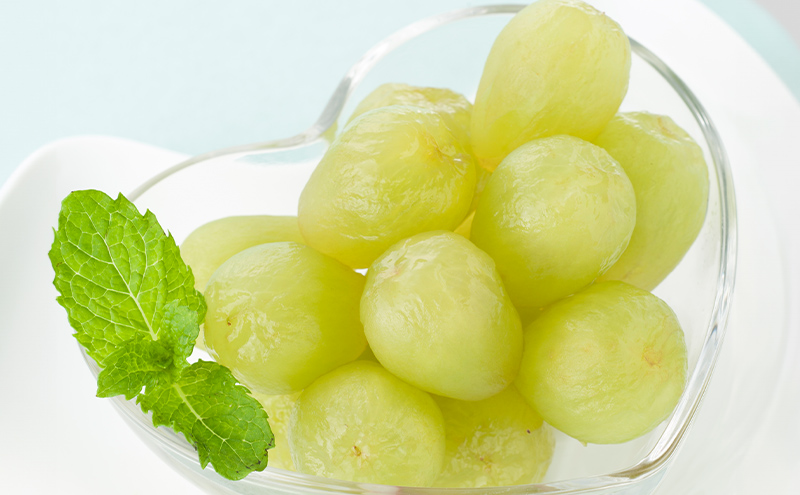 ぶどう 2026年 先行予約 マスカットオブアレキサンドリア 1房(550g以上・赤秀) 化粧箱入り