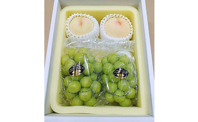 もも ぶどう 2026年 先行予約 詰合/白桃 2玉(1玉220g以上)・シャインマスカット 晴王  2房(1房480g以上) 化粧箱入り 岡山県産 国産 フルーツ 果物 ギフト