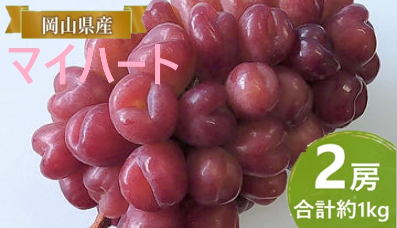 ぶどう 【2026年 早期受付】 マイハート  2房 合計約1kg ブドウ 葡萄 岡山県産 国産 フルーツ 果物 ギフト